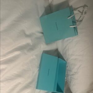 Tiffany & Co. Aqua Blue Shopping Bags